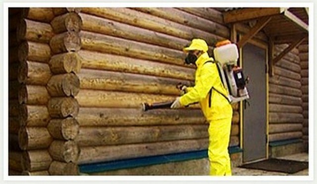 защита деревянных конструкции от разрушения